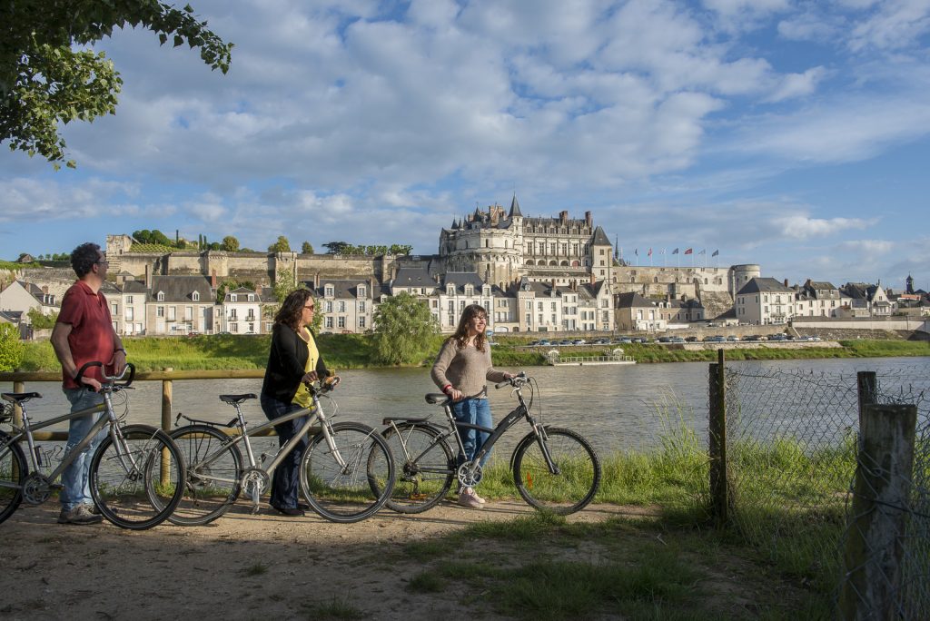 Valle della Loira amboise-d-darrault