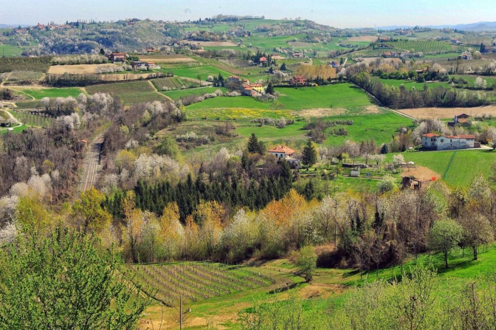 Langhe