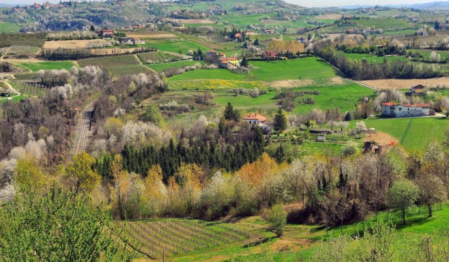 Langhe