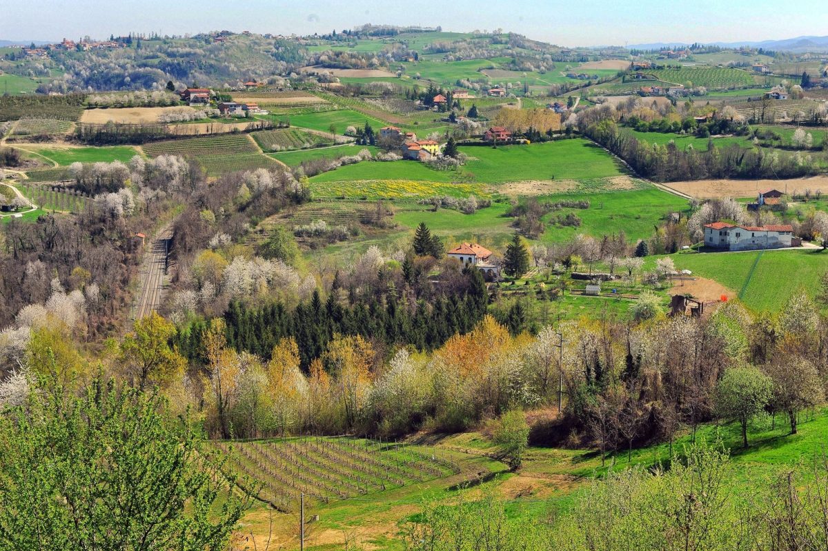 Weekend of Slow Shopping in Langhe