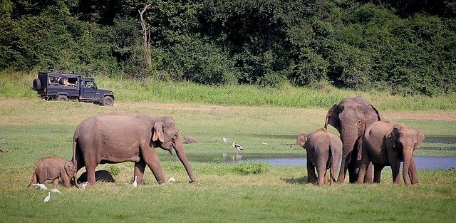 South Africa for families between luxury and malaria free