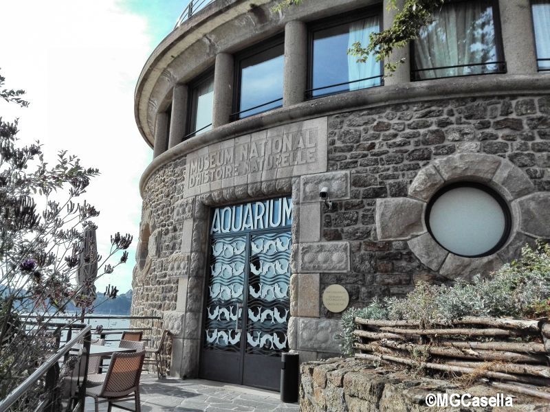 L'Hotel Castelbrac a Dinard