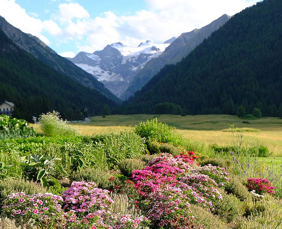 Cogne Hotel Bellevue