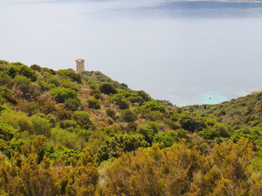 Corsica