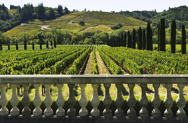 California on the road sulle strade del vino (1)