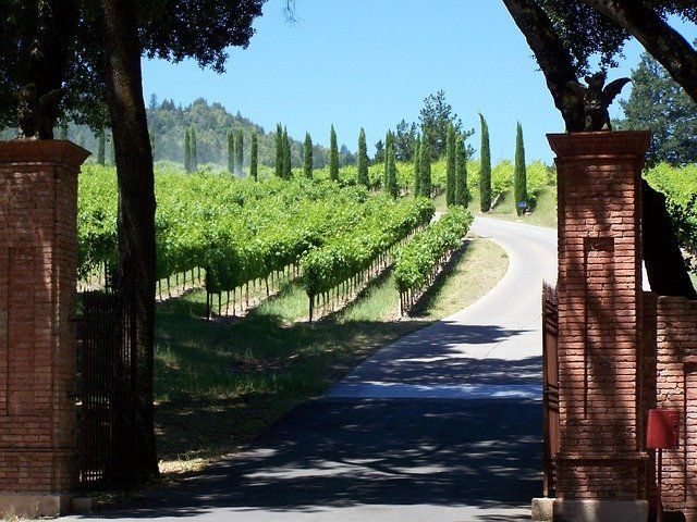 California on the road sulle strade del vino (2)