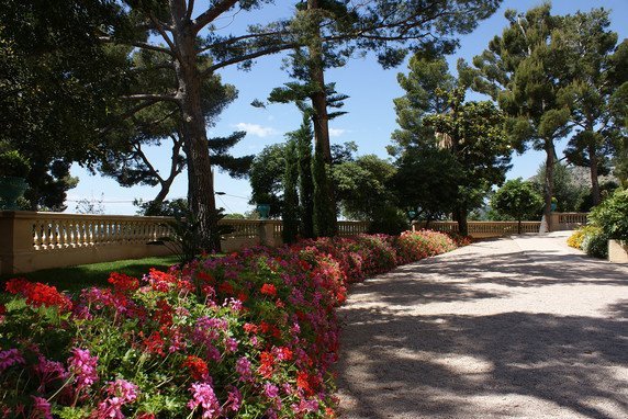 Gardens of the French Riviera