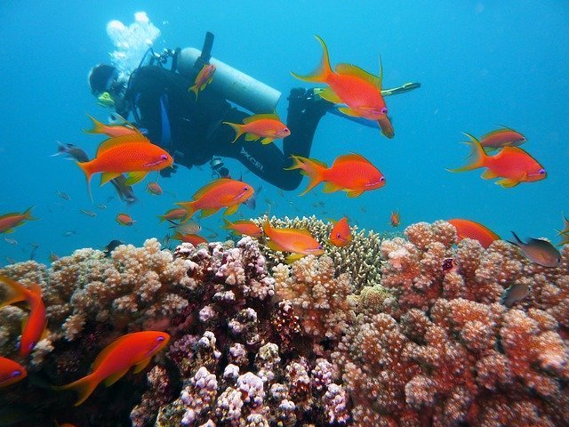 Lombok, paradiso dei sub