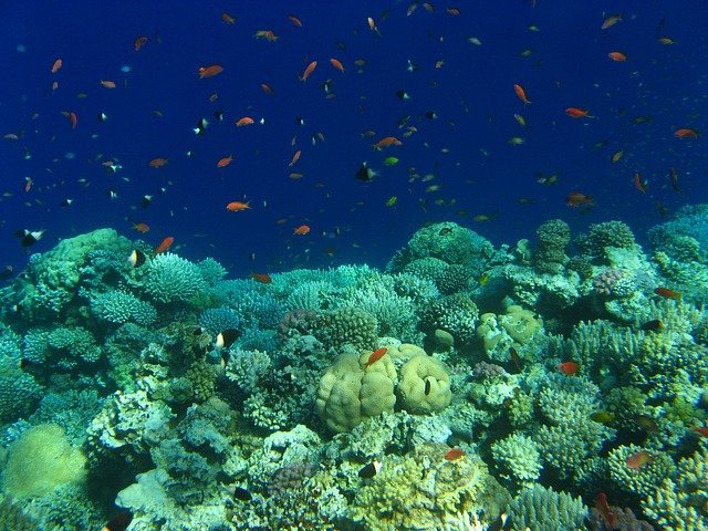 Red Sea holiday packages shock offer at 1 Euro