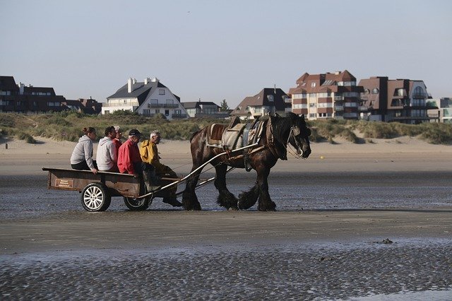 pesca a cavallo