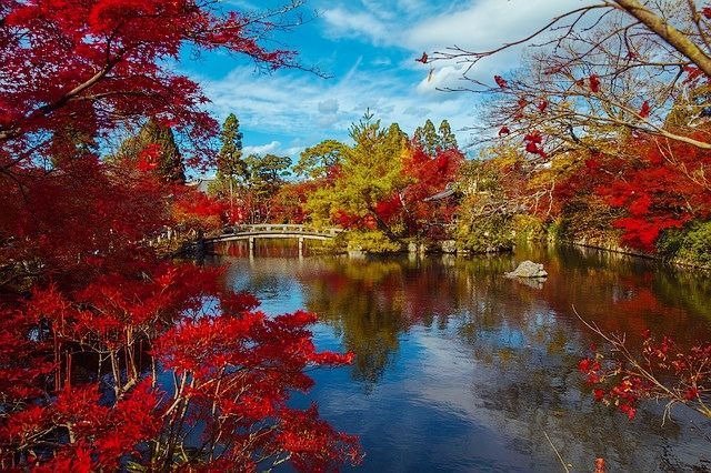 japanese