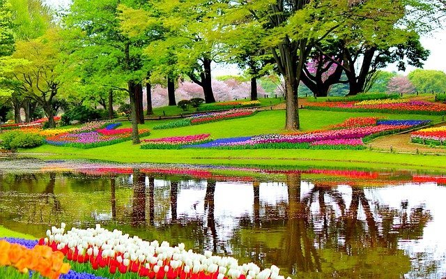 keukenhof-garden