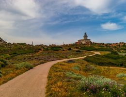 Sardegna Gallura landscape