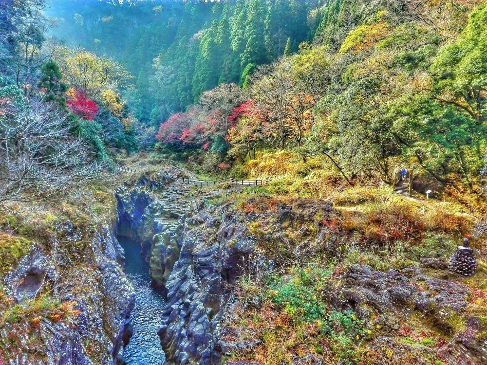Momijigari in Giappone “a caccia di foglie rosse”