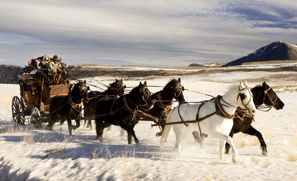 Colorado the hateful eight