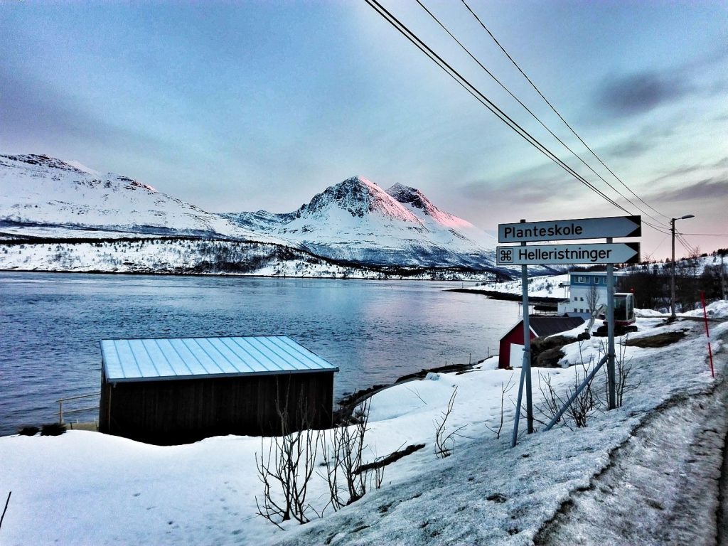 aurora boreale a Tromso