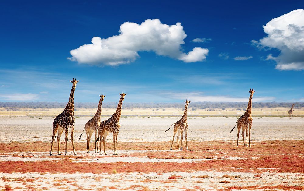 Namibia