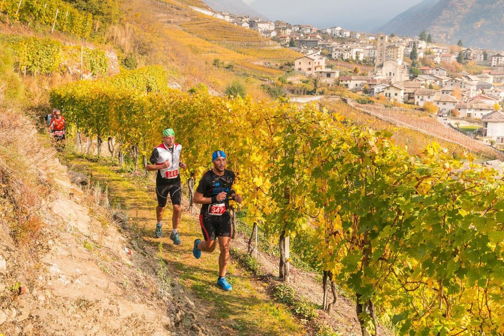 Valtellina Wine Trail