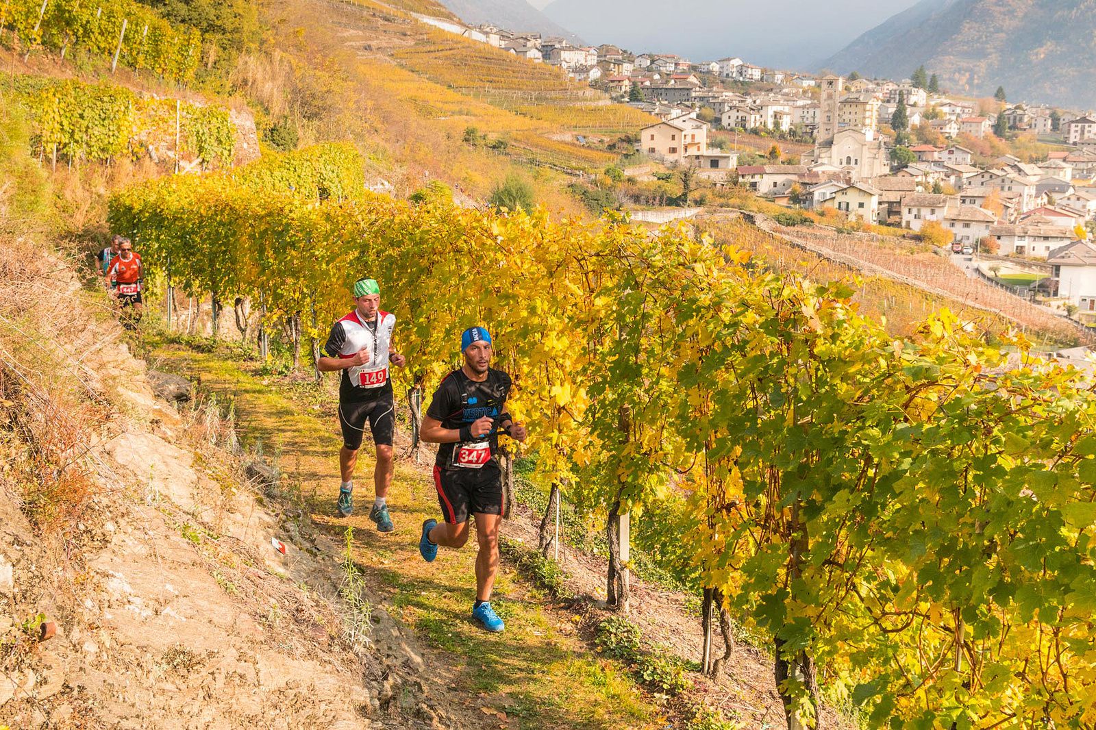 Valtellina Wine Trail, running between villages and vineyards
