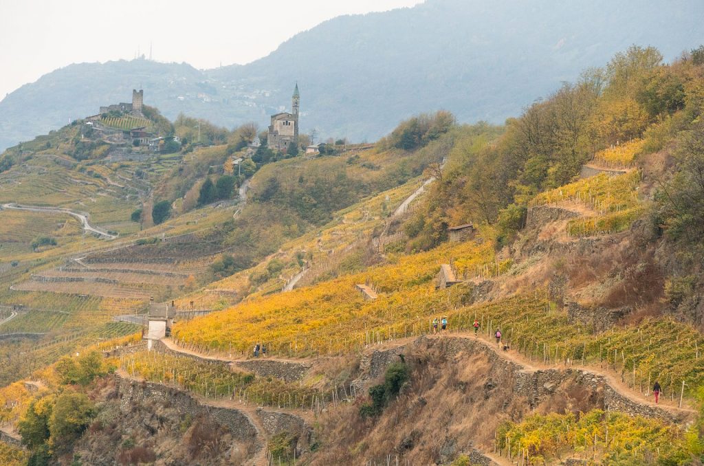 Valtellina-wine-trail