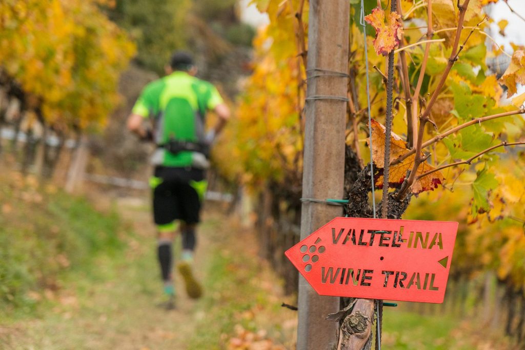 Valtellina wine trail
