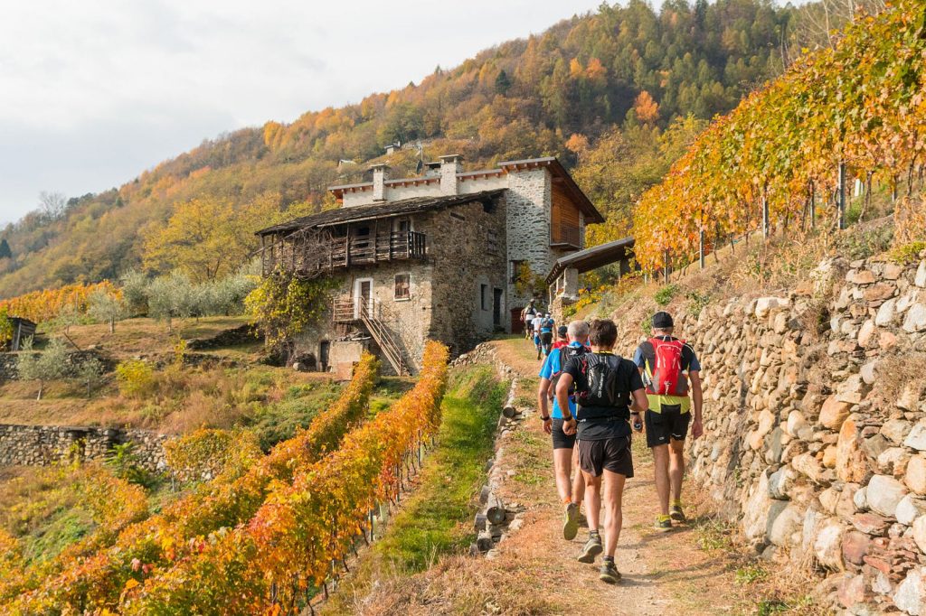 Valtellina wine trail