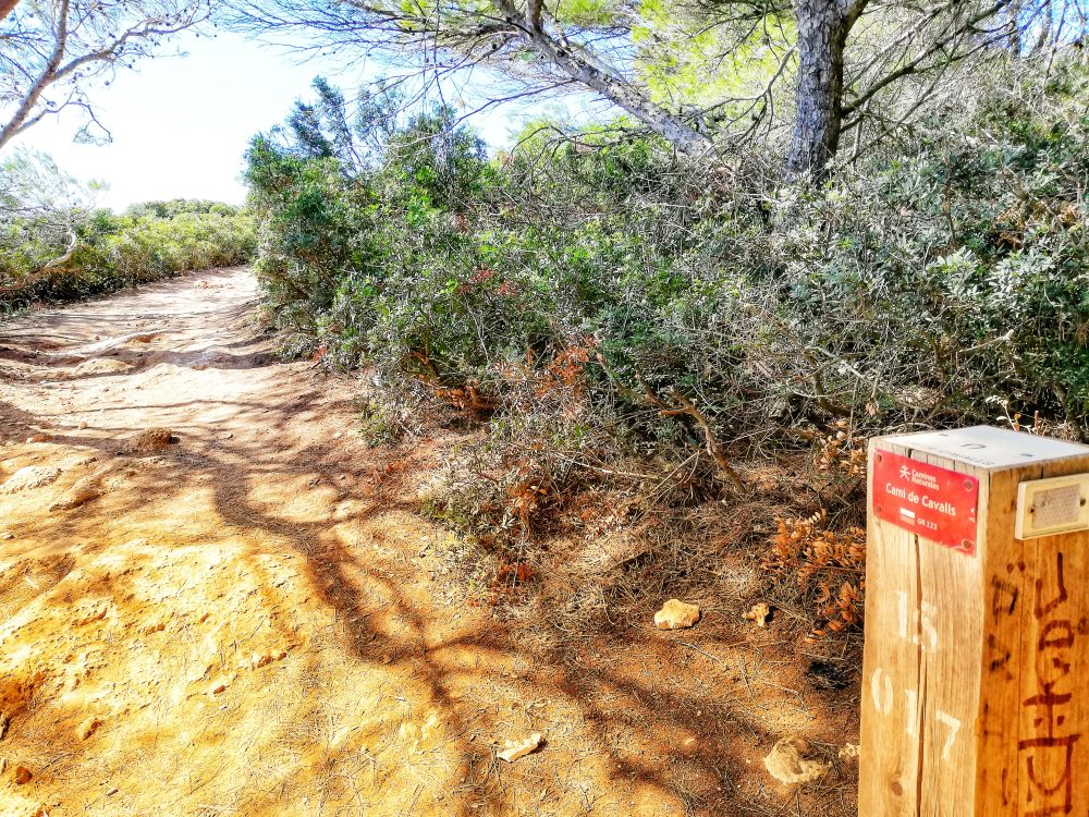 Cami de Cavalls Minorca6