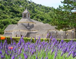 Francia riapre le frontiere - abbaye de senanque
