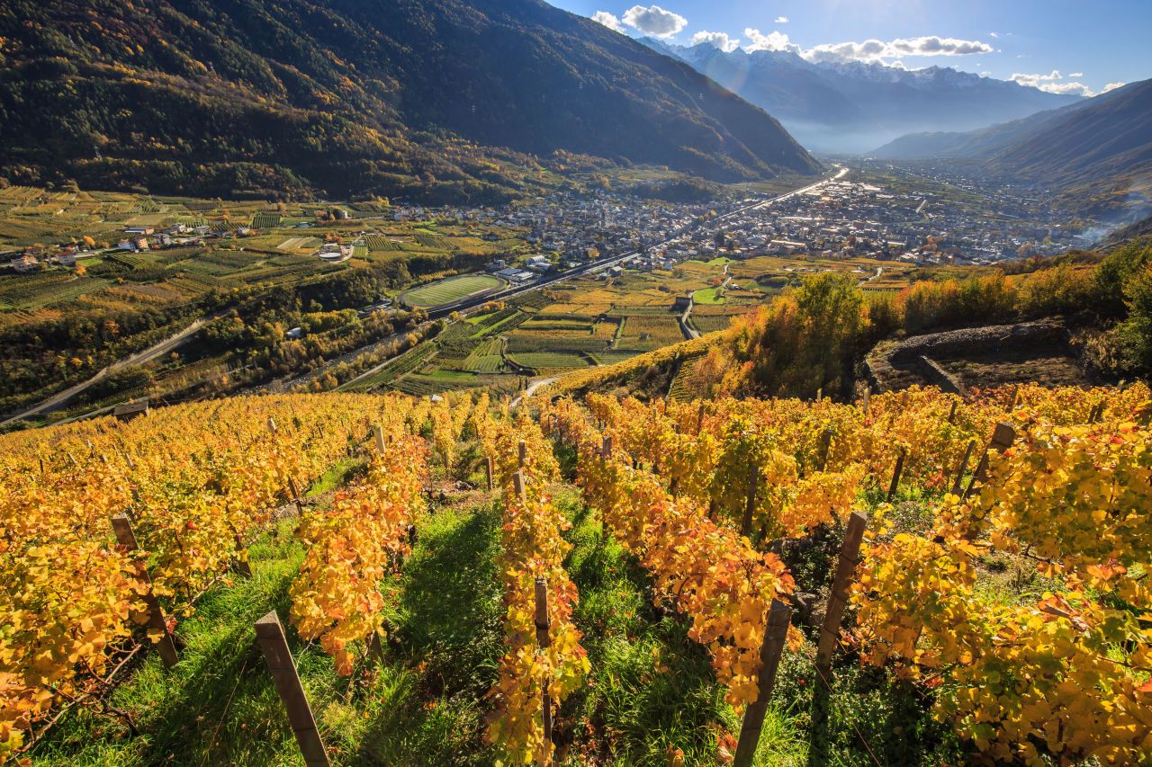 Sentieri di Gusto in Valtellina