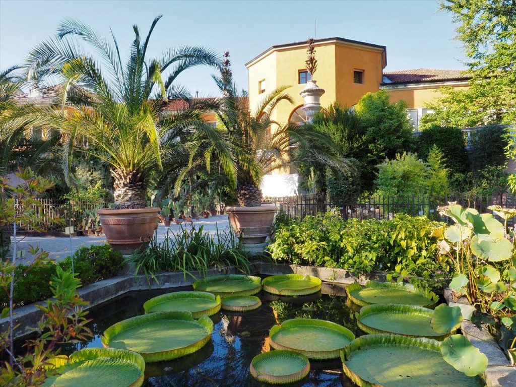 Botanical Garden Padua