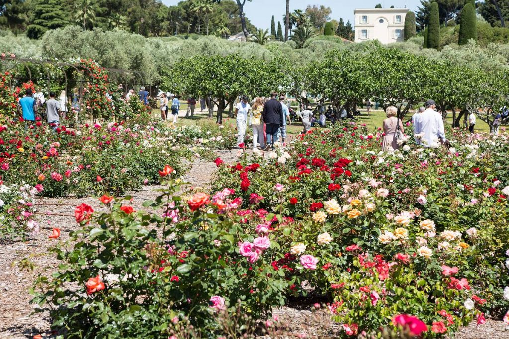 Cap d'Antibes Jardins Villa Eilenroc