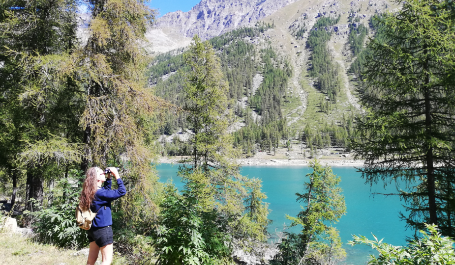 Gran Paradiso escursioni