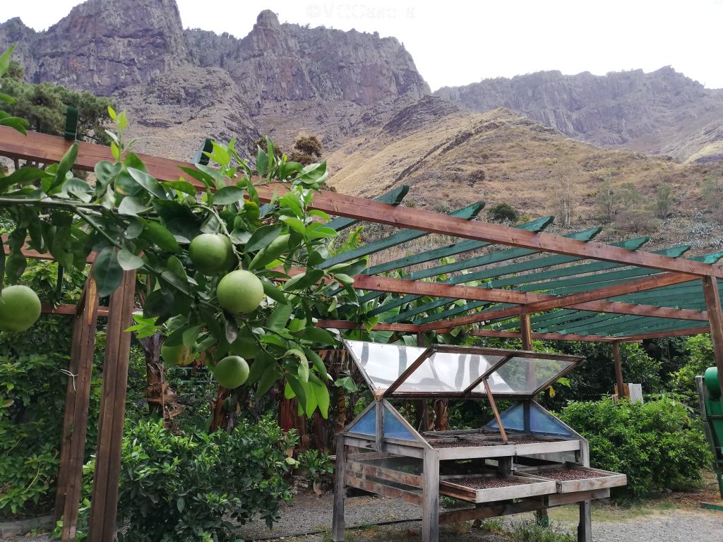 Gran Canaria What to see