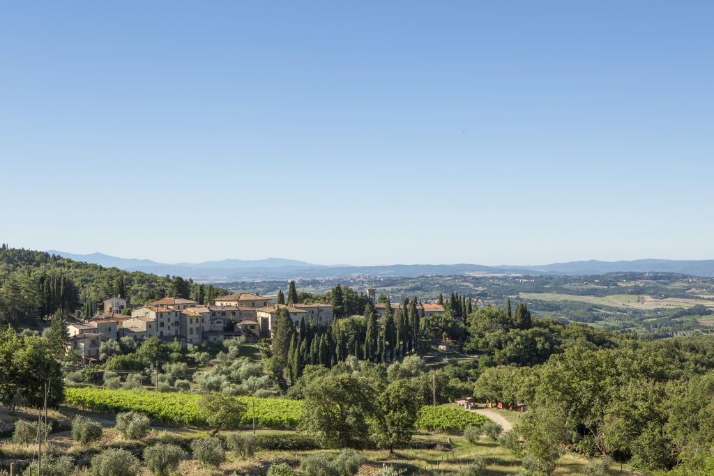 Castello di Fonterutoli: Un’Esperienza Autentica tra i Vigneti del Chianti Classico