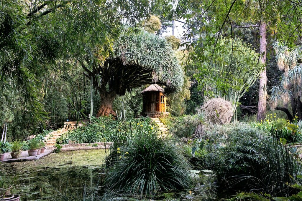Botanical Garden Palermo