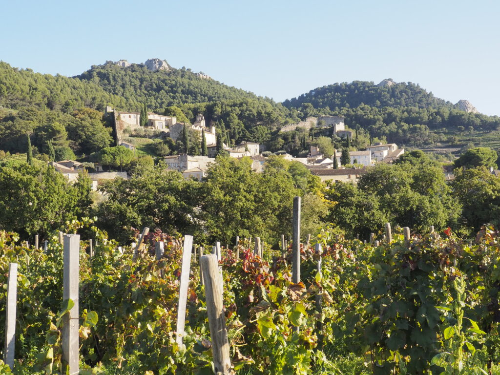 Borgo di Gigondas e vigneti del Rodano meridionale