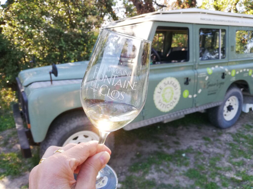 Safari viticolo nel Domaine Fontaine du Clos a Sarrians