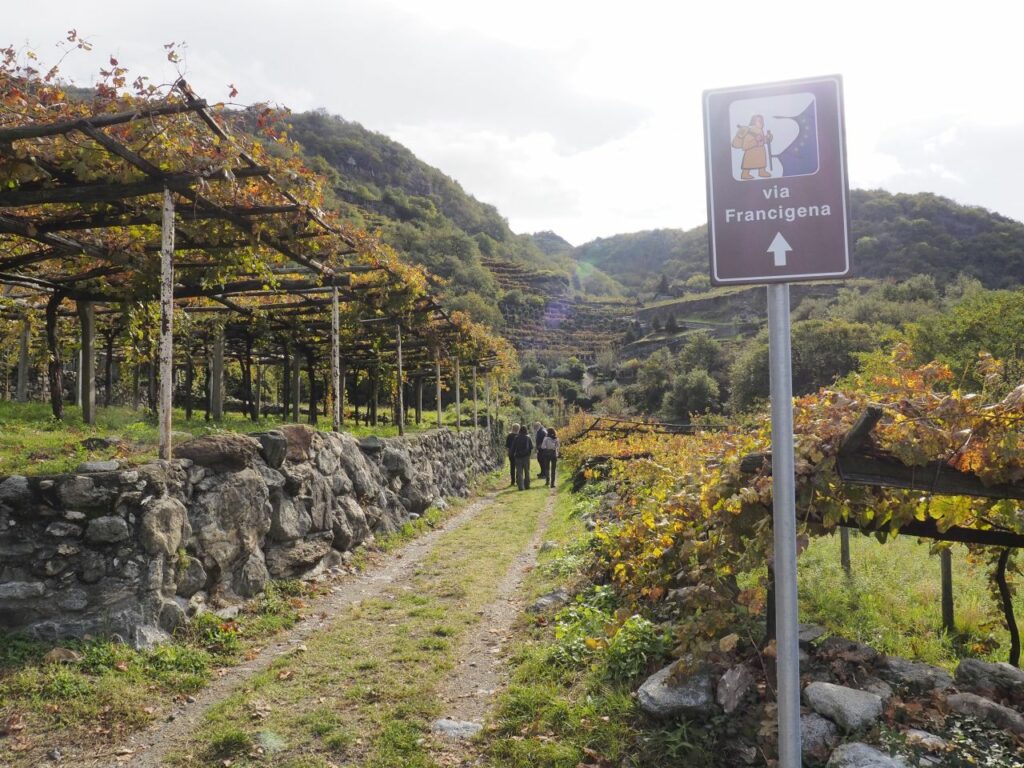 Via Francigena morenico-canavesana a Carema