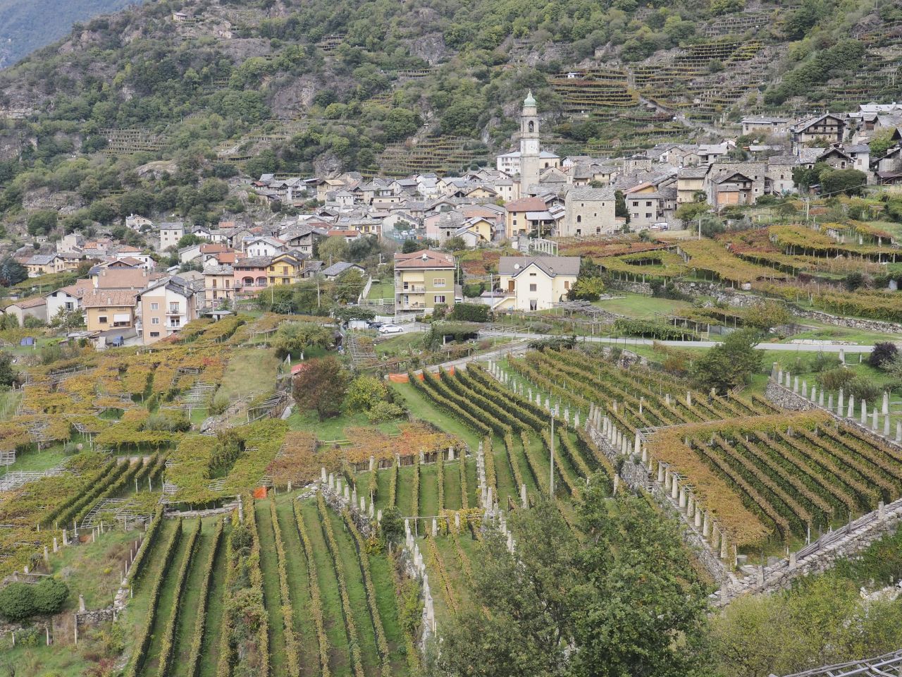 Carema sulla Via Francigena morenico-canavesana