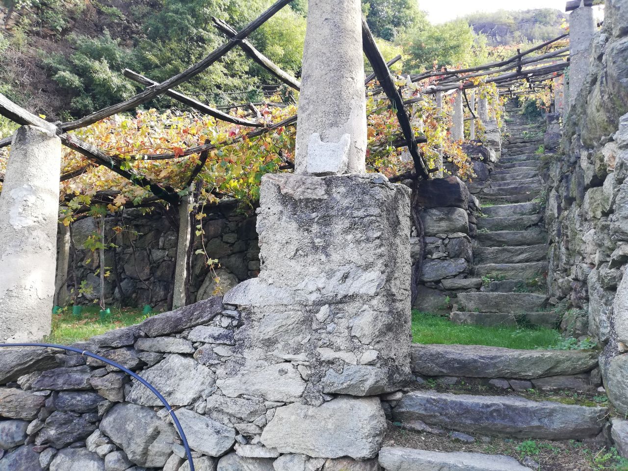 IMG 20251021 115331