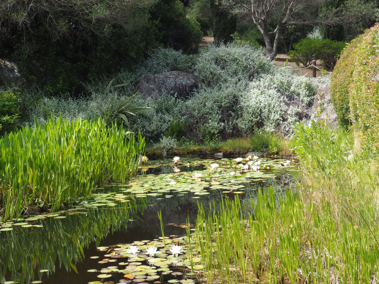 Parc de Saleccia, Corsica