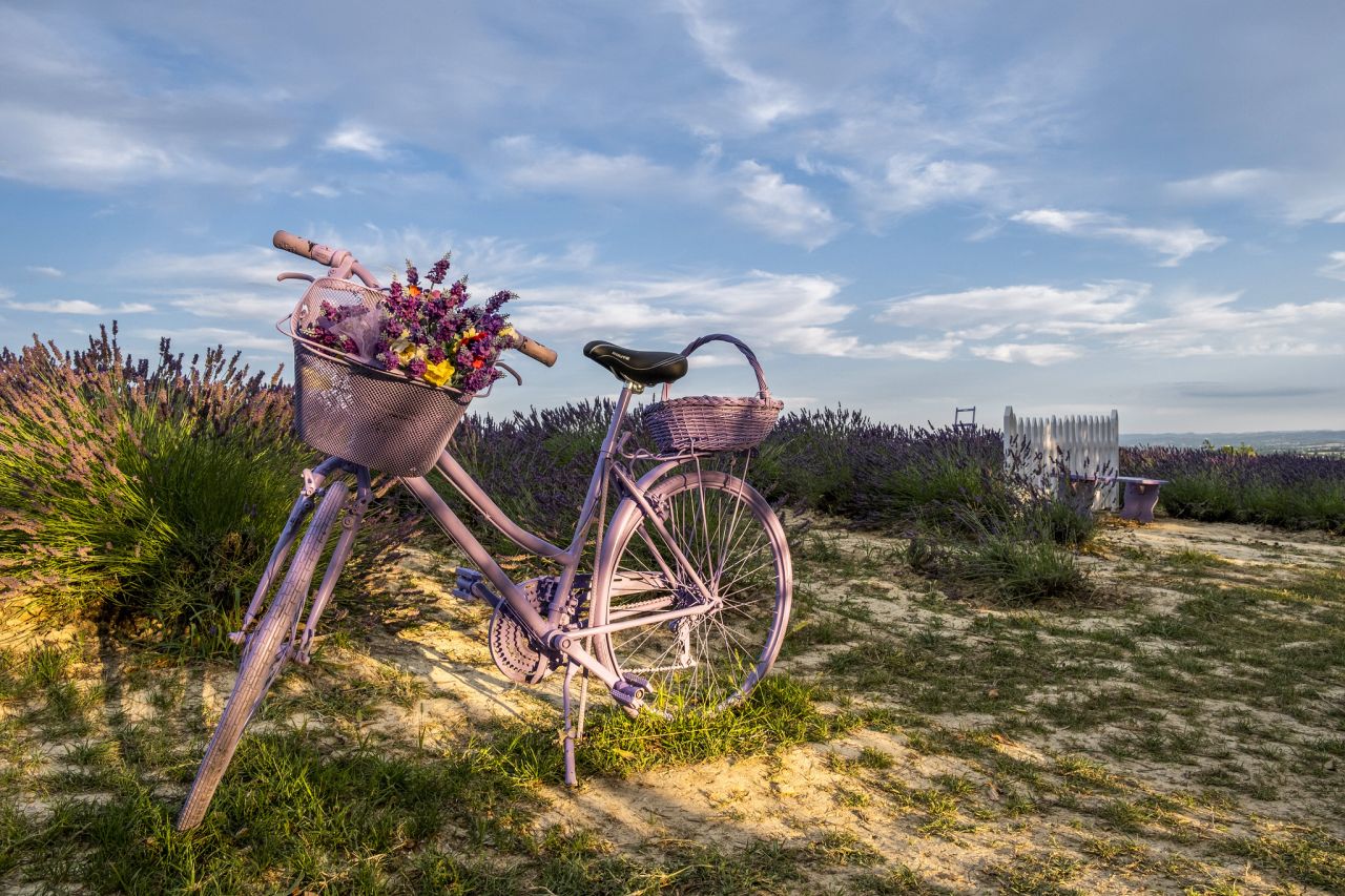 Campi di lavanda in Piemonte: 7 luoghi magici nell’Alessandrino