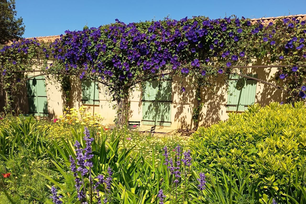 Parc de Saleccia: Corsica's Most Beautiful Botanical Garden