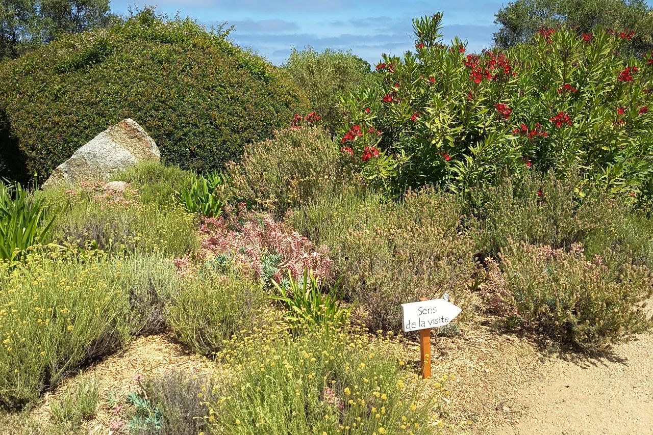 Parc de Saleccia, Corsica