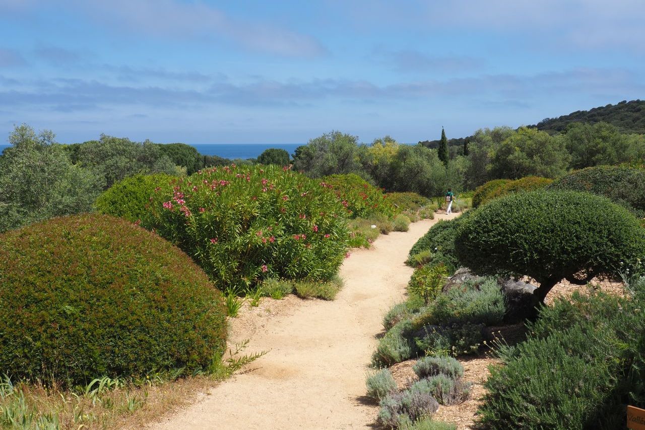 Parc de Saleccia, Corsica