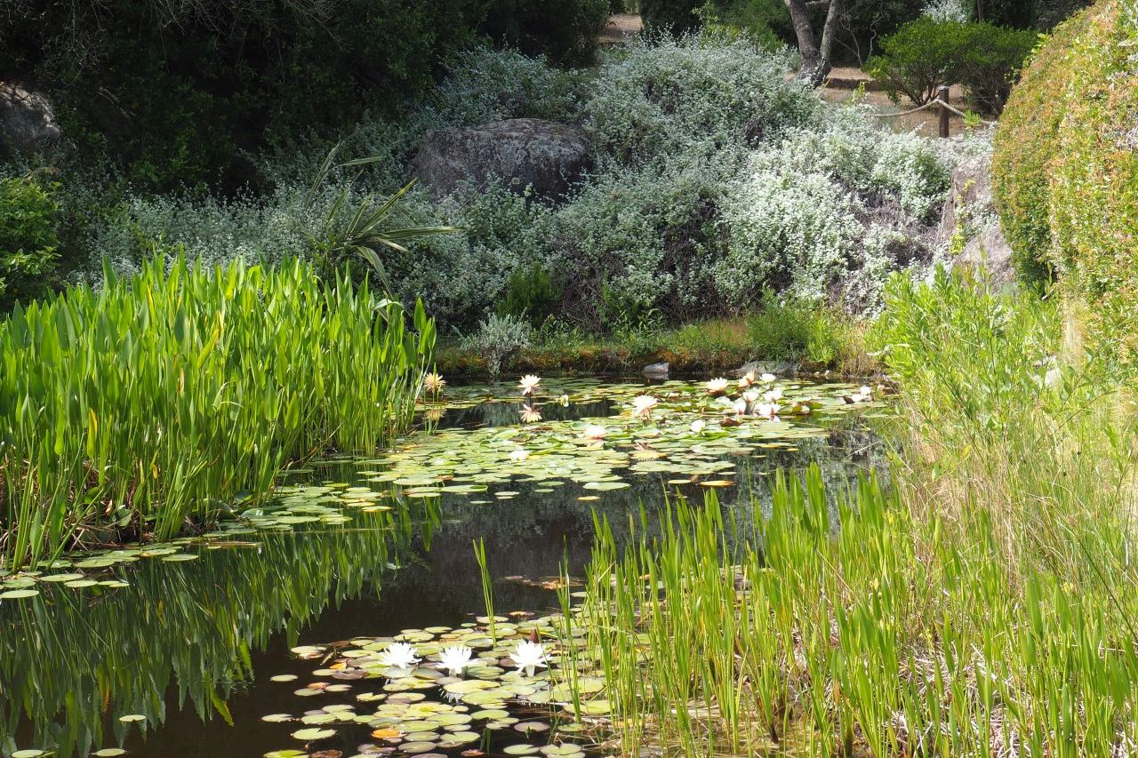 laghetto Parc de Saleccia, Corsica